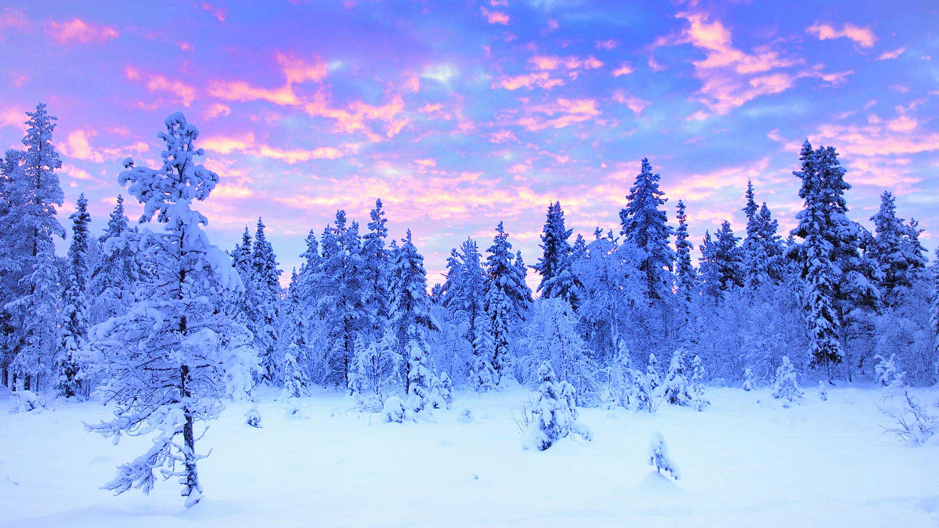 Sweden winter - Ekonomiskt och starkt ljus för hemmet